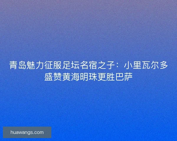 青岛魅力征服足坛名宿之子：小里瓦尔多盛赞黄海明珠更胜巴萨